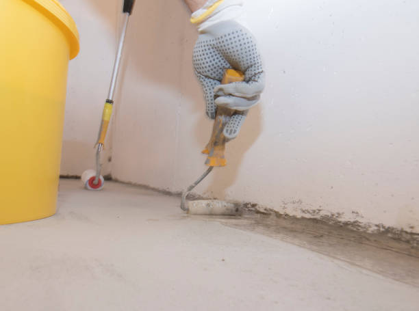 Best Fumigation Services  in Port Chester, NY